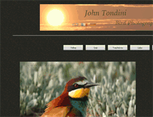 Tablet Screenshot of ornitho-digiscoping.tramelan.ch